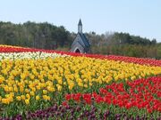 �q�̗̂��̎ʐ^5