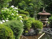 �j���� ���O���̎ʐ^3