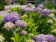 �j���� ���O���̎ʐ^4