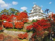 �S�㔪����̎ʐ^1