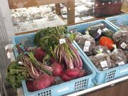 ���̉w�@�a�ǂ̎ʐ^4