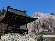 �i�{���̂�������@?�͂������߂���?�̎ʐ^4