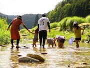 �܂邩��̗��v���̎ʐ^4