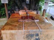 �ޗ��� �Ђ߂��Ⴊ�̓��̎ʐ^2