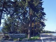 �����_�ЁE��{�����̎ʐ^4