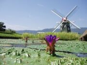 ���c�ؑ]�O������A�N�A���[���h�����p�[�N�Z���^�[�@�̎ʐ^2