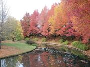 ���c�ؑ]�O������A�N�A���[���h�����p�[�N�Z���^�[�@�̎ʐ^3