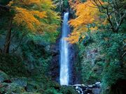 �{�V�����̍g�t�̎ʐ^2