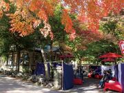 �{�V�����̍g�t�̎ʐ^3