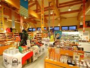 �փP���w�O�ό��𗬊فh�����փP���I�h�̎ʐ^2