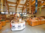 �փP���w�O�ό��𗬊فh�����փP���I�h�̎ʐ^3