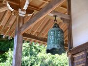 �e�a���l�䂩��̔��[�̔~�E���@���̎ʐ^2