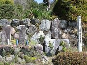 �@�_���@�i�@�_�T���j�̎ʐ^2