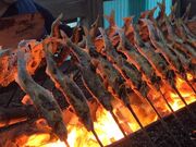 �����Ȃ̎ʐ^2