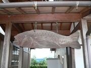 ��~���̎ʐ^2