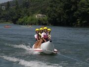 ���S�Ò�B��G�C�m�Z���^�[���Ɂi�h�������j�̎ʐ^2