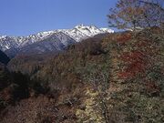 ���R���싽�z���C�g���[�h�̍g�t�̎ʐ^2