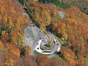 ���R���싽�z���C�g���[�h�̍g�t�̎ʐ^4