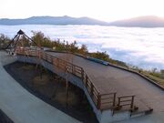 ���R���싽�z���C�g���[�h�̍g�t�̎ʐ^3