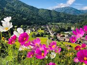 �u��R�V��t�v �W�]��̎ʐ^2