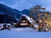 ���w��d�v�������@�a�c�Ƃ̎ʐ^2