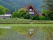 ���w��d�v�������@�a�c�Ƃ̎ʐ^3