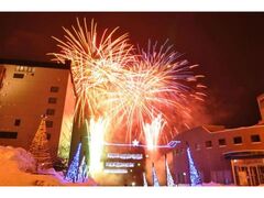 ����Ή���~�ԉ΂̎ʐ^1