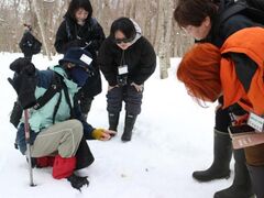 �ώ@��u�X�̒��ŏt�����������v�̎ʐ^1