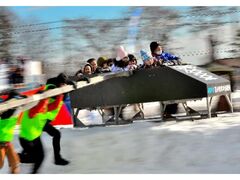 60Ƃ܂܂XP[g܂̎ʐ^1