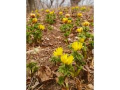 ��ԉz�֏��Ղ̕������̎ʐ^1