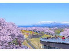 ���΂����܂�̎ʐ^1