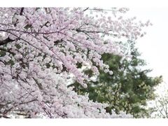 �։������@���܂�̎ʐ^1