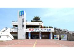 ���}�̑�햡�̎ʐ^1