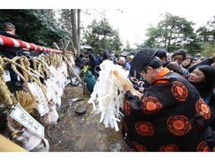 �|���܂�̎ʐ^1