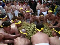 �������Ղ̎ʐ^1