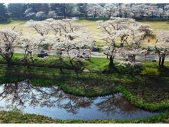 ���n�@���܂�̎ʐ^1