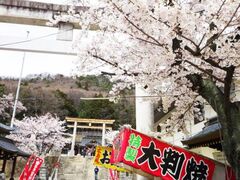 �M�v�R�������܂�̎ʐ^1