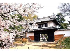 �y�Y���܂�2026�̎ʐ^1