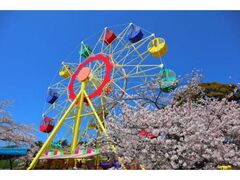 ���݂ˌ����@�X�v�����O�t�F�X�e�B�o���̎ʐ^1