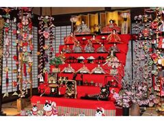 �y�Y�̐��܂�̎ʐ^1