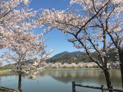 �k���r�̍��̎ʐ^1