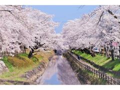 �^���̈ꖜ�{���܂�̎ʐ^1