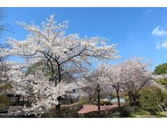 ����X�v�����O�t�����[�t�F�X�e�B�o���i���j�̎ʐ^1