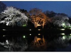 ���s�̖���@���C�g�A�b�v�̎ʐ^1