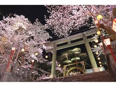 �S�{�쉷�������C�g�A�b�v�`�S�{�얜�؋��`�̎ʐ^1