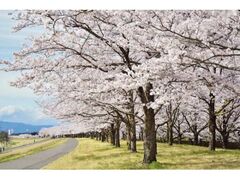 ���Ƃ䂤�䂤�p�[�N�@���܂�̎ʐ^1