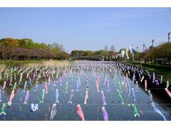 �����̂ڂ�̗��܂�̎ʐ^1