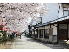 �鉺�������̍����؂̎ʐ^1