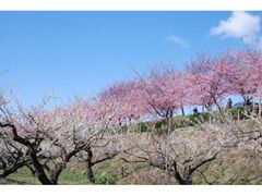 �݂��Ɣ~�܂�̎ʐ^1