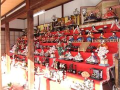 �V���ЂȂ܂�̎ʐ^1